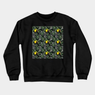 toucan pattern Crewneck Sweatshirt